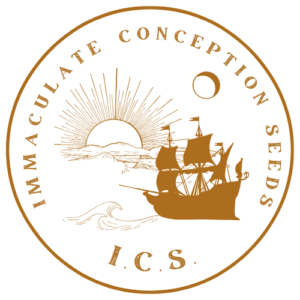 Immaculate Conception Seeds Logo Amber Site Icon